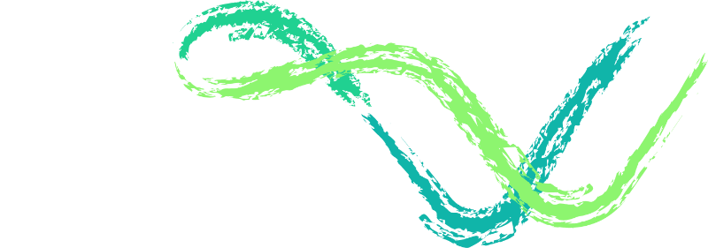 Vivi srl